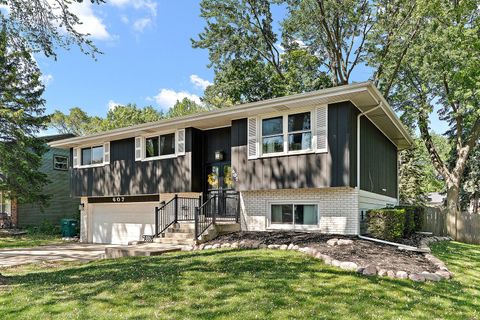 607 Shorewood Drive Shorewood IL 60404