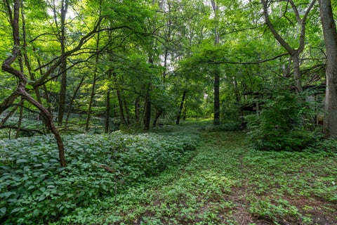 Tiny photo for 3312 187th Street Court, East Moline, IL 61244 (MLS # 12711123)