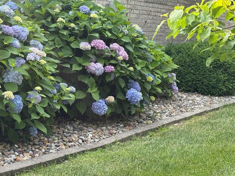 Tiny photo for 8 DOGWOOD Place, Harrisburg, IL 62946 (MLS # EB460493)