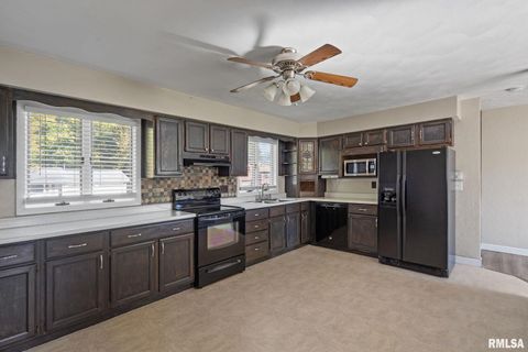 Tiny photo for 204 AMBER Lane, Geneseo, IL 61254 (MLS # QC4269086)