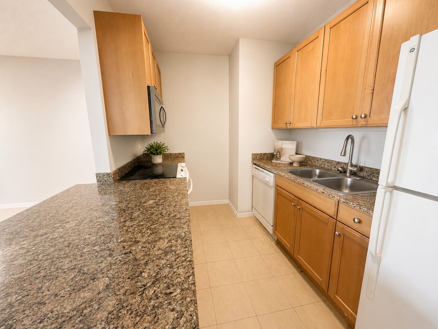 400 N La Salle Drive 4112