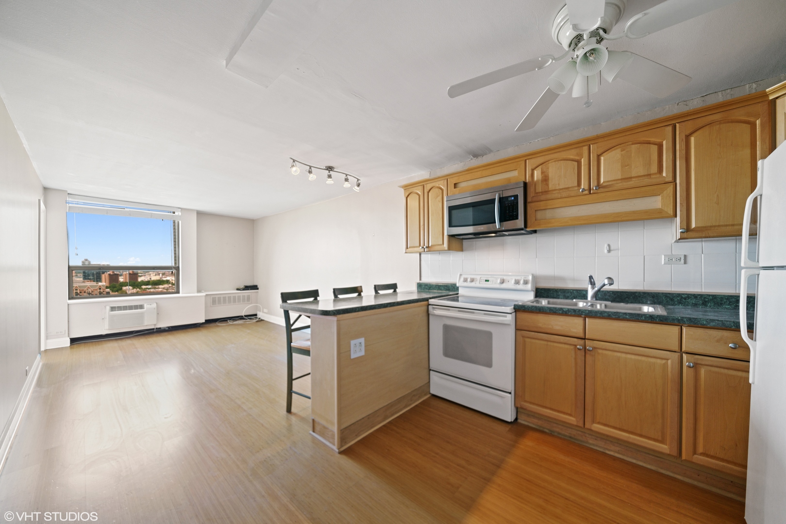 1455 N Sandburg Terrace 2107