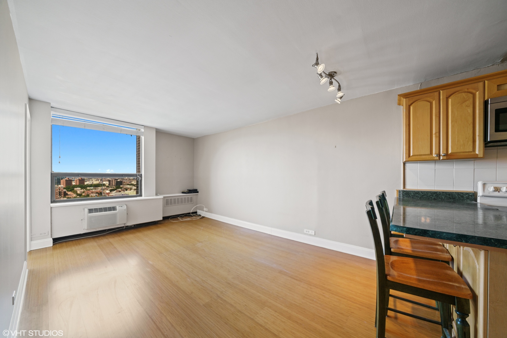 1455 N Sandburg Terrace 2107