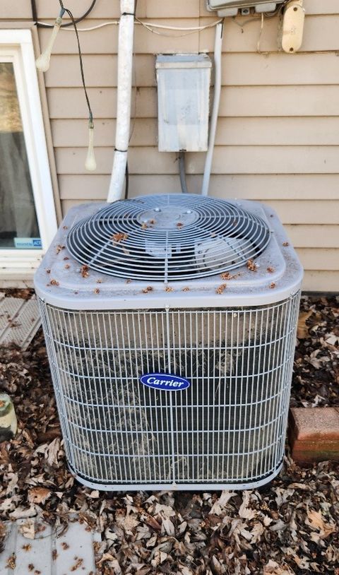 Tiny photo for 536 Irving Place, University Park, IL 60484 (MLS # 12596628)