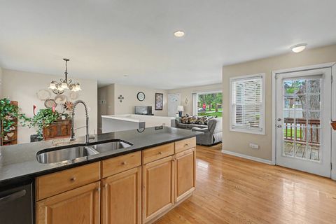 Tiny photo for 1191 White Street, Des Plaines, IL 60016 (MLS # 12659181)