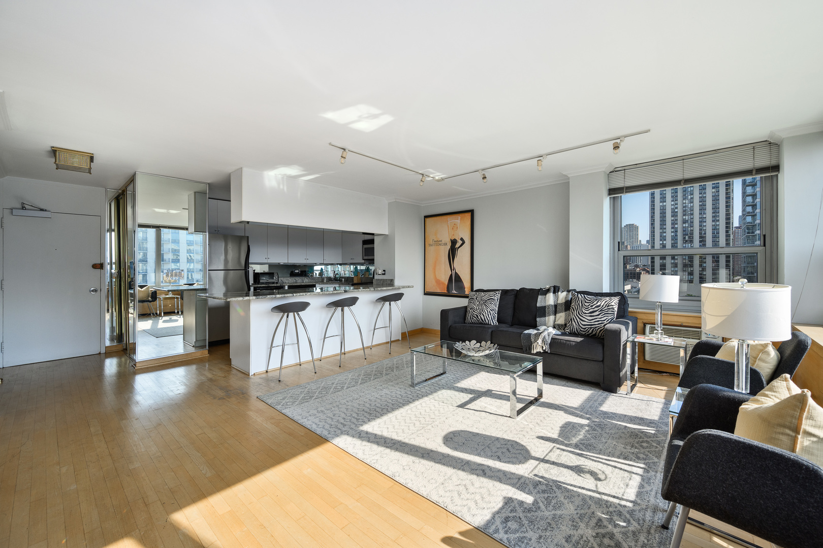 1255 N Sandburg Terrace 1207E