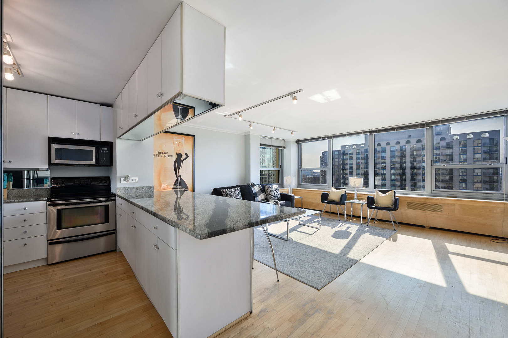 1255 N Sandburg Terrace 1207E