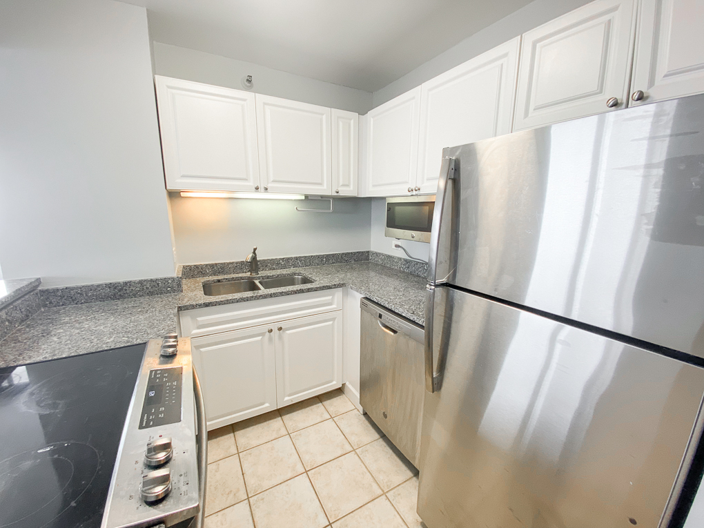 3660 N LAKE SHORE Drive 3412