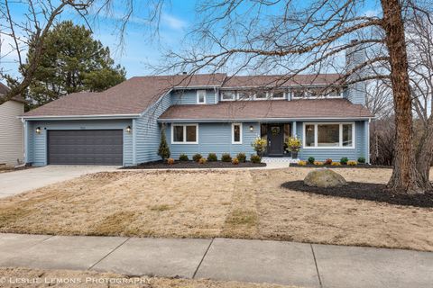 Photo of 541 Braemar Avenue, Naperville, IL 60563 (MLS # 12571316)