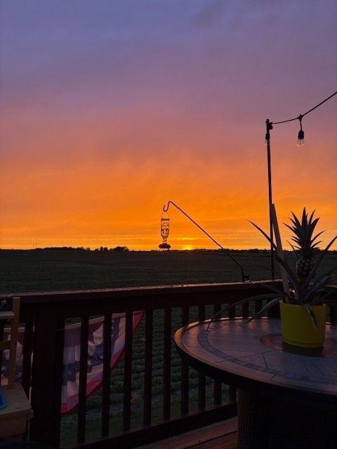 Tiny photo for 1941 Waters Edge Drive, Minooka, IL 60447 (MLS # 12481120)