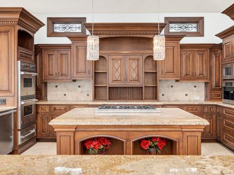 Tiny photo for 14 AMBRIANCE Drive, Burr Ridge, IL 60527 (MLS # 12559745)