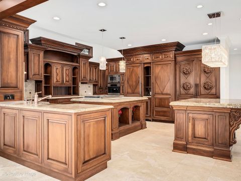 Tiny photo for 14 AMBRIANCE Drive, Burr Ridge, IL 60527 (MLS # 12559745)