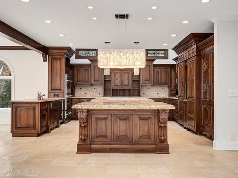 Tiny photo for 14 AMBRIANCE Drive, Burr Ridge, IL 60527 (MLS # 12559745)