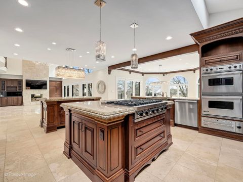 Tiny photo for 14 AMBRIANCE Drive, Burr Ridge, IL 60527 (MLS # 12559745)