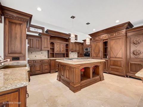 Tiny photo for 14 AMBRIANCE Drive, Burr Ridge, IL 60527 (MLS # 12559745)