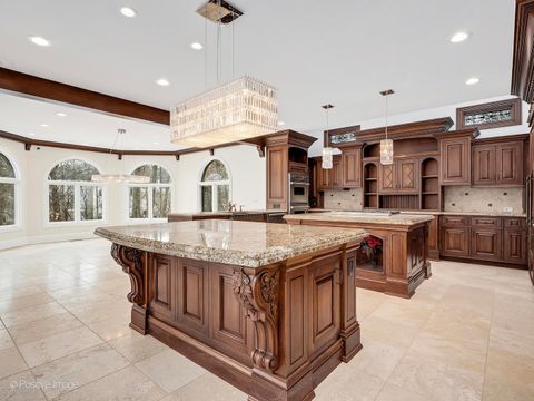 Tiny photo for 14 AMBRIANCE Drive, Burr Ridge, IL 60527 (MLS # 12559745)