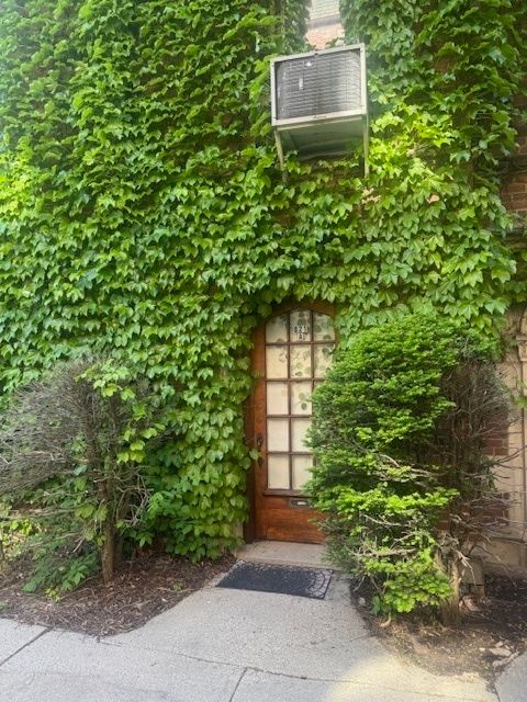 821 Brummel Street G Evanston IL 60202