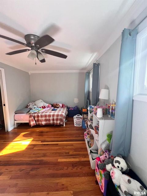 Tiny photo for 203 PLUM Street, Anna, IL 62906 (MLS # QC4267812)