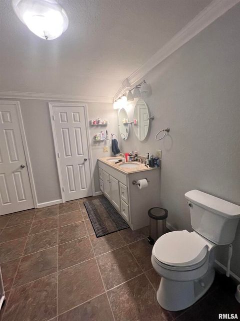 Tiny photo for 203 PLUM Street, Anna, IL 62906 (MLS # QC4267812)