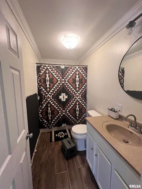 Tiny photo for 203 PLUM Street, Anna, IL 62906 (MLS # QC4267812)