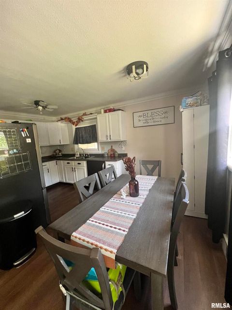 Tiny photo for 203 PLUM Street, Anna, IL 62906 (MLS # QC4267812)