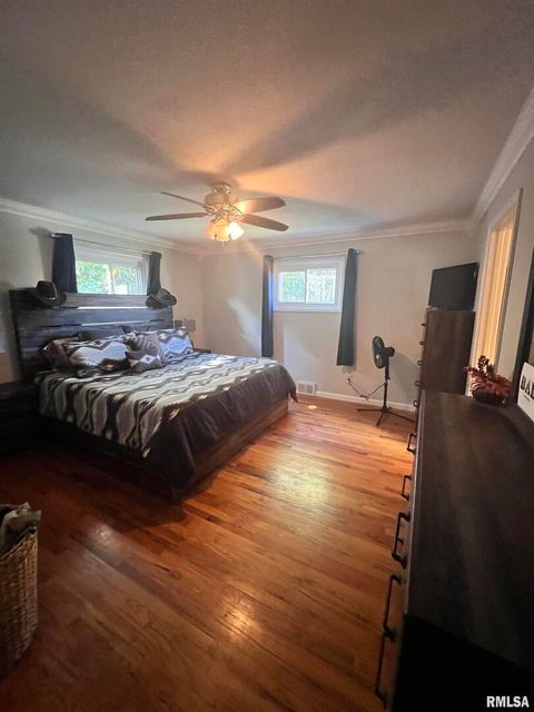 Tiny photo for 203 PLUM Street, Anna, IL 62906 (MLS # QC4267812)