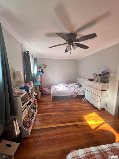 Tiny photo for 203 PLUM Street, Anna, IL 62906 (MLS # QC4267812)