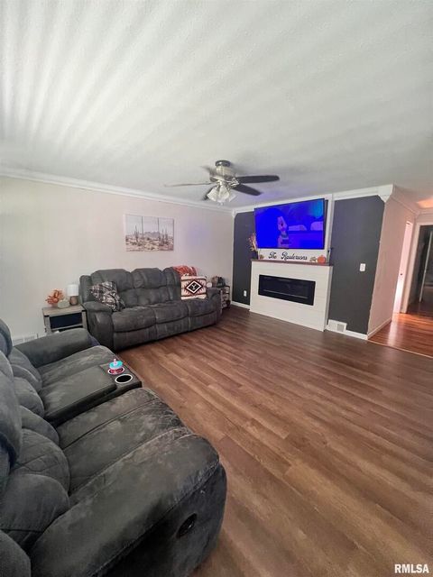 Tiny photo for 203 PLUM Street, Anna, IL 62906 (MLS # QC4267812)