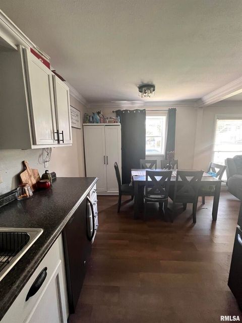 Tiny photo for 203 PLUM Street, Anna, IL 62906 (MLS # QC4267812)