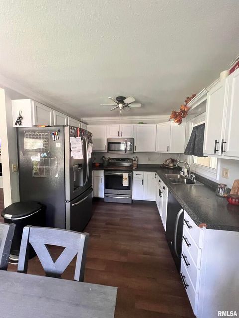 Tiny photo for 203 PLUM Street, Anna, IL 62906 (MLS # QC4267812)