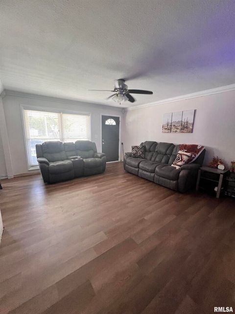 Tiny photo for 203 PLUM Street, Anna, IL 62906 (MLS # QC4267812)