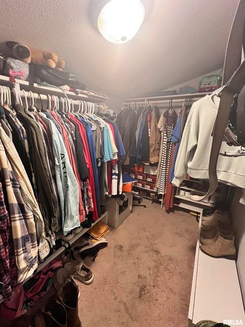 Tiny photo for 203 PLUM Street, Anna, IL 62906 (MLS # QC4267812)