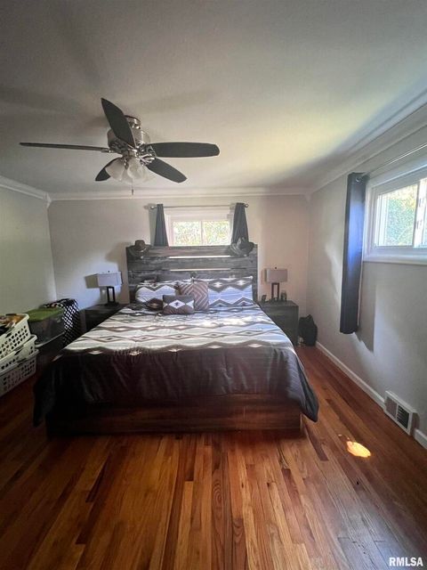 Tiny photo for 203 PLUM Street, Anna, IL 62906 (MLS # QC4267812)