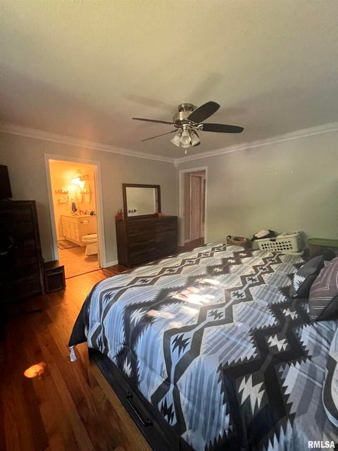 Tiny photo for 203 PLUM Street, Anna, IL 62906 (MLS # QC4267812)