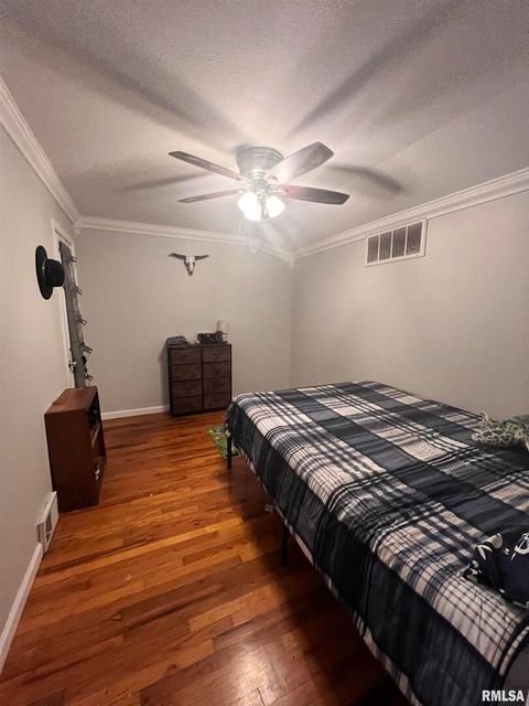 Tiny photo for 203 PLUM Street, Anna, IL 62906 (MLS # QC4267812)