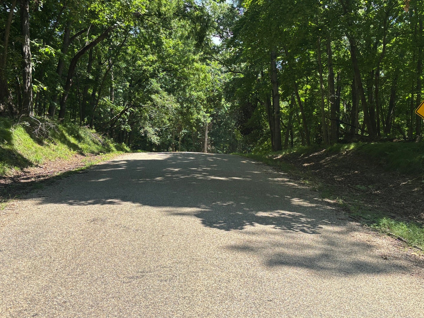 1805 Tanglewood Drive