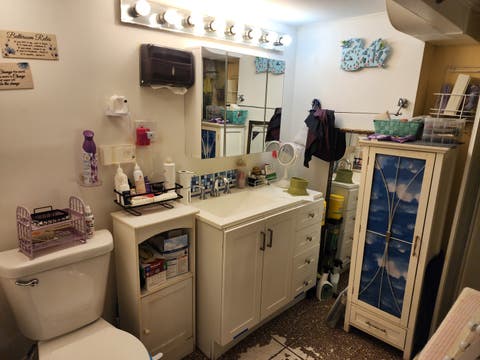 Tiny photo for Evergreen Park, IL 60805 (MLS # 12728942)