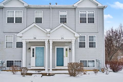 570 N Triumph Court Hainesville IL 60073