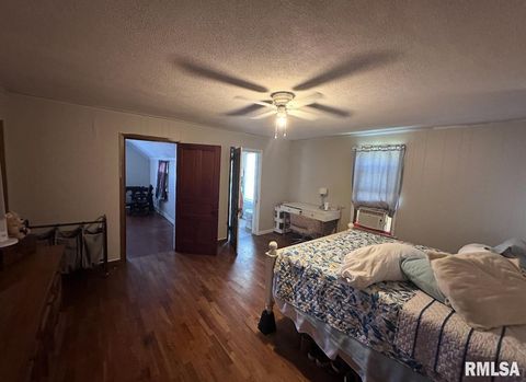 Tiny photo for 623 PAYSON Avenue, Quincy, IL 62301 (MLS # QC4266731)