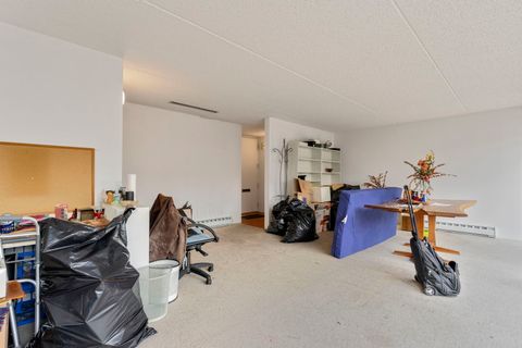 Tiny photo for 300 N Maple Avenue, Oak Park, IL 60302 (MLS # 12570157)