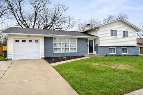 6418 Bradley Drive Woodridge IL 60517