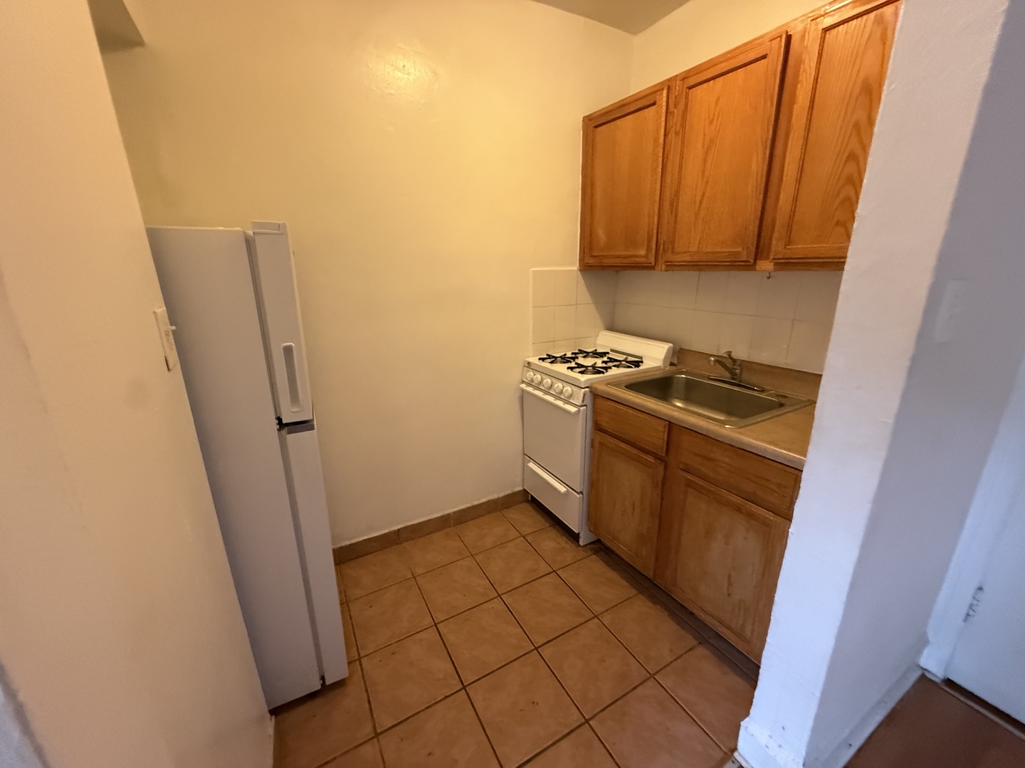 1135 W Lunt Avenue 309