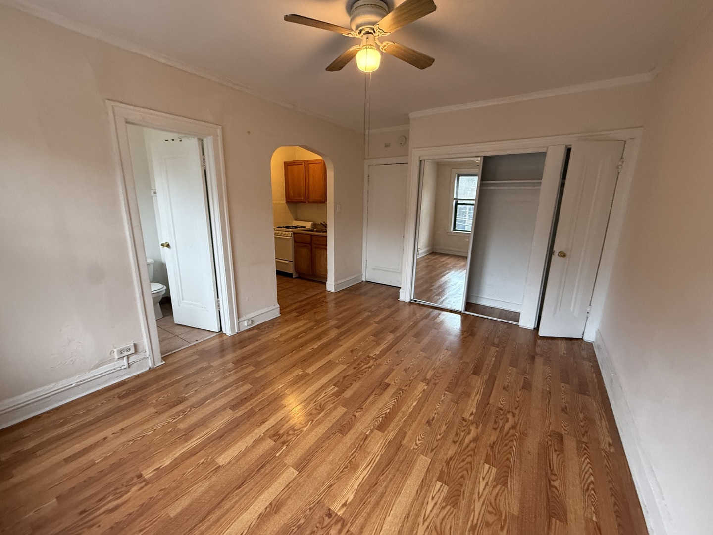 1135 W Lunt Avenue 309