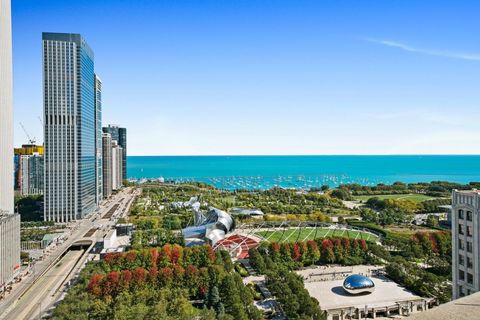 Tiny photo for 130 N GARLAND Court #4902, Chicago, IL 60602 (MLS # 12589051)