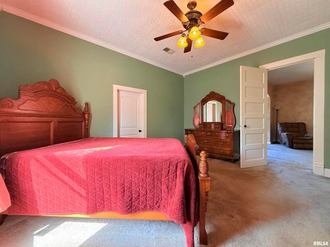 Tiny photo for 18 S MILL Street, Harrisburg, IL 62946 (MLS # EB460050)