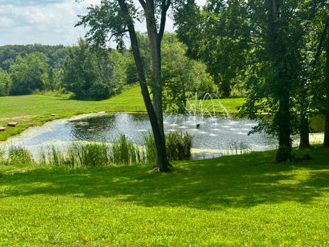 Tiny photo for 618 E Saint Paul Street, Spring Valley, IL 61362 (MLS # 12710690)