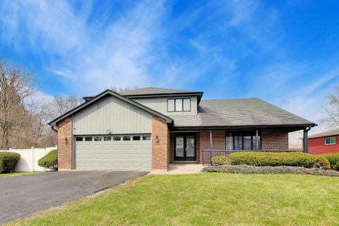 Photo of 3042 E Bending Creek Trail, Crete, IL 60417 (MLS # 12618175)