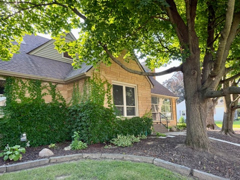 Photo of 223 Ruth Place, Clinton, IA 52372 (MLS # 12742669)