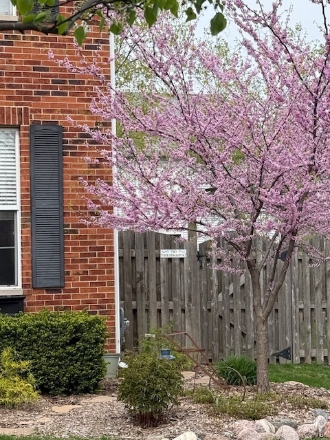 24001 W Walnut Circle