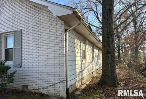 Tiny photo for 7345 US Hwy 45 S, Carrier Mills, IL 62917 (MLS # EB460677)